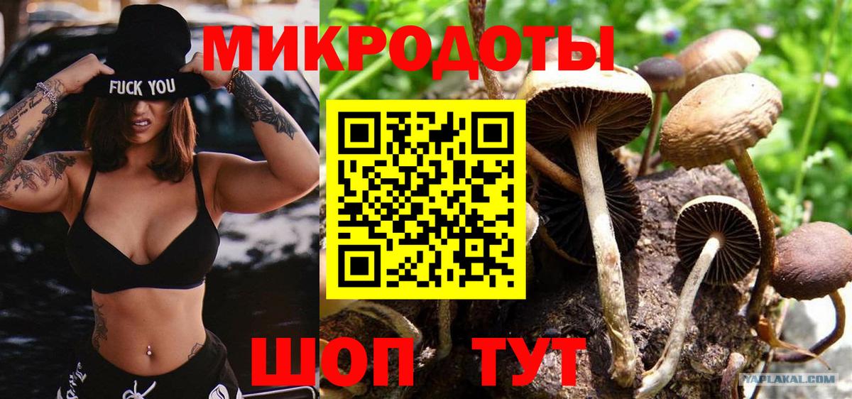 Галлюциногенные грибы Magic Shrooms  Вход с VPN  Псилоцибиновые грибы MAGIC MUSHROOMS  Сегежа 