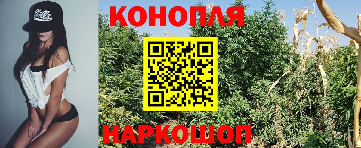 Марихуана Bruce Banner  Вход с VPN  Канабис Ganja  Марихуана семена  Бошки Шишки White Widow  Сегежа 